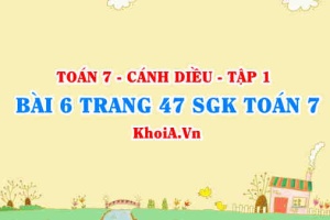 Bài 6 trang 47 SGK Toán 7 tập 1 Cánh Diều